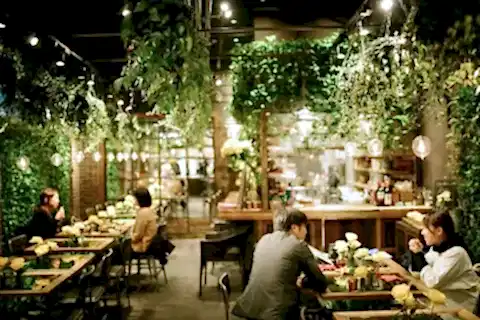 Restoran Dekorasyon Fikirleri